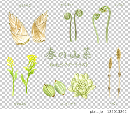 春の山菜の和風ベクターイラストセット 122013262