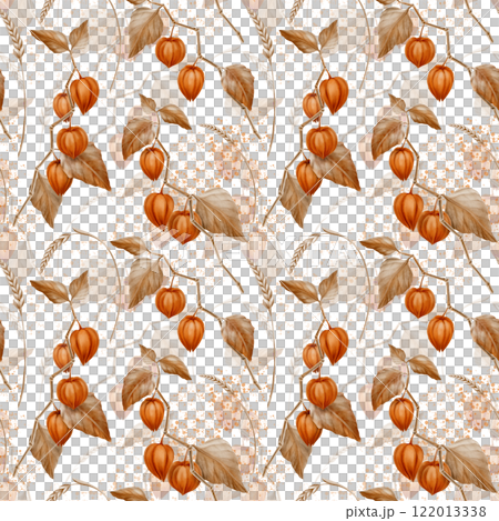 Seamless pattern physalis orange branch with leaves and buds and spikelets of wheat and splashes.Decorative plant element for pumpkin harvest festival and Thanksgiving day.With transparent background 122013338