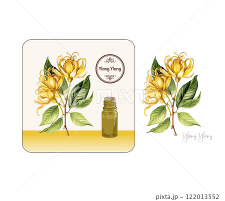 イランイランのイラスト・アロマ・精油・精油の瓶 イランイランのイラスト・アロマ・精油・精油の瓶 122013552