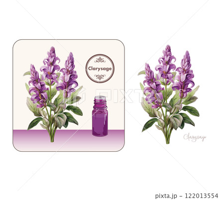 クラリセージのイラスト・精油＆アロマ 122013554