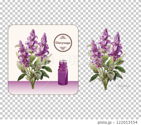 クラリセージのイラスト・精油＆アロマ 122013554