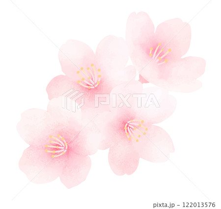 満開の桜の水彩イラスト_かわいい春の花の背景 122013576