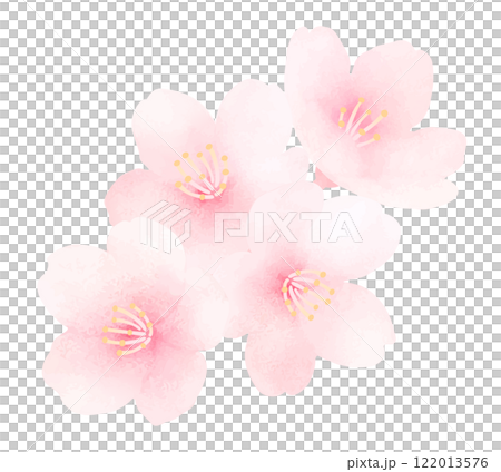 満開の桜の水彩イラスト_かわいい春の花の背景 122013576