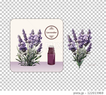 Lavender illustration, essential oil bottle, aroma, essential oil 122013969