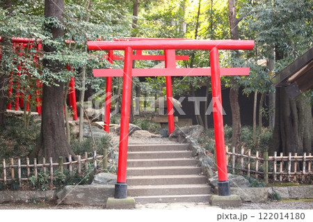 大宮氷川神社境内 大宮氷川神社境内 122014180