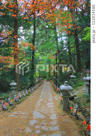 秋の金剛輪寺（参道・滋賀県愛荘町・縦構図） 122014580