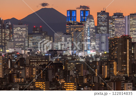 《東京都》富士山をのぞむ新宿副都心の夜景 122014835