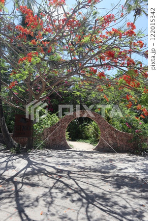 タンザニア・ザンジバル、パジェ・ピングウェのザ・ロック 122015342