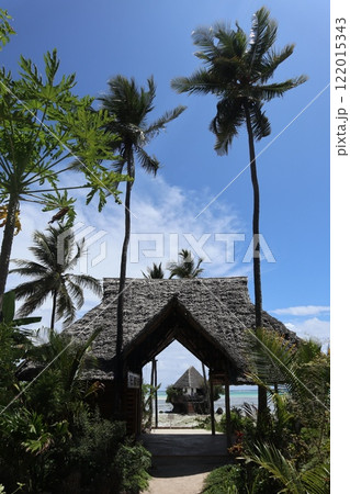 タンザニア・ザンジバル、パジェ・ピングウェのザ・ロック 122015343