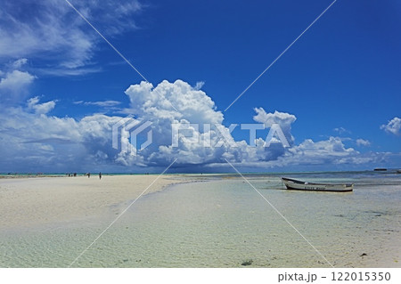 タンザニア・ザンジバル、ピングウェのビーチ 122015350