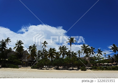 タンザニア・ザンジバル、ピングウェのビーチ 122015351