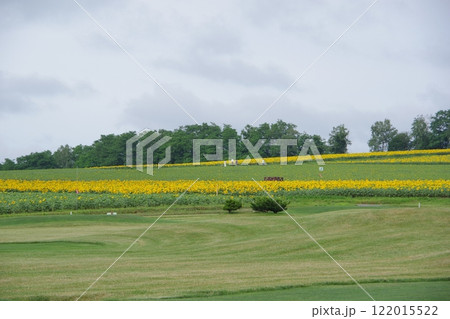 ひまわりの里 北海道北竜町 122015522