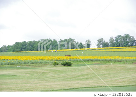 ひまわりの里 北海道北竜町 ひまわりの里 北海道北竜町 122015523