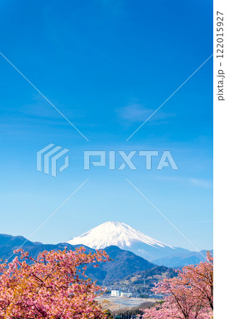 富士山と河津桜・松田山 122015927