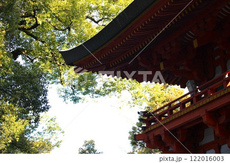 大宮氷川神社境内 大宮氷川神社境内 122016003