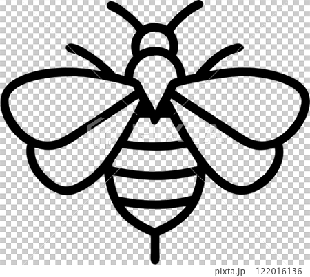 Bee in outline icon style, insects, animal theme. 122016136