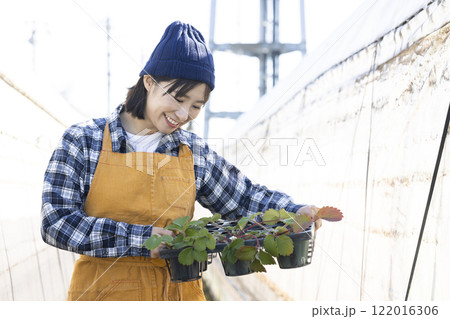 苗を育てる女性 苗を育てる女性 122016306