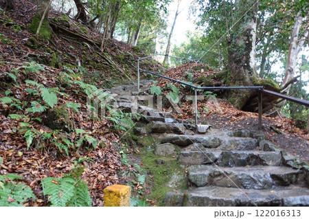 京都鞍馬寺 鞍馬山 急傾斜地 巡拝 京都鞍馬寺 鞍馬山 急傾斜地 巡拝 122016313