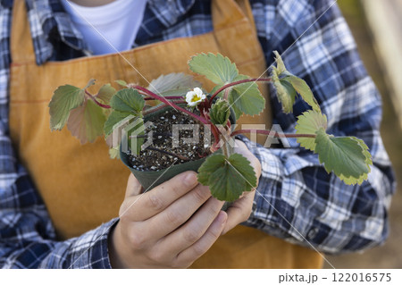 苗を育てる女性 122016575