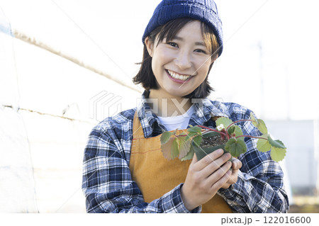 いちごの苗を育てる女性 いちごの苗を育てる女性 122016600