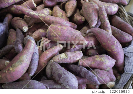 Thai farmer market selling fresh product 122016936