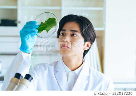 植物の葉を観察する科学者 122017220