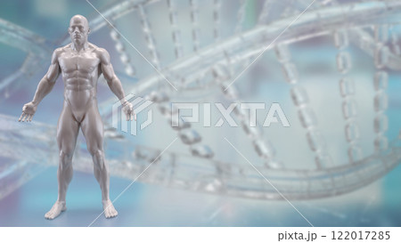 The Human anatomy for medical or education concept 3d rendering. 122017285