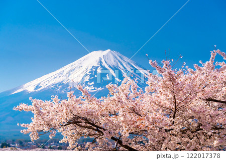 富士山と満開の桜 122017378