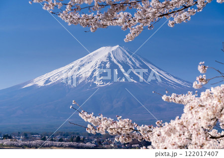日本の春・富士山と満開の桜 122017407