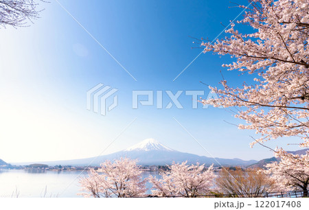 日本の春・富士山と満開の桜 122017408