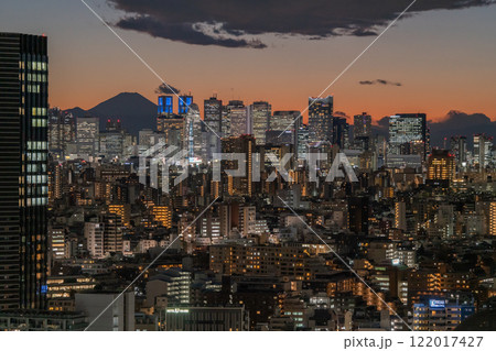 《東京都》スカイツリーをのぞむ都市夜景 122017427