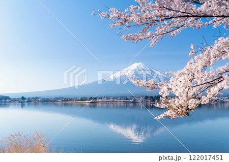 富士山と満開の桜・河口湖畔の逆さ富士 122017451