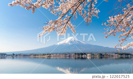 富士山と満開の桜・河口湖畔の逆さ富士 富士山と満開の桜・河口湖畔の逆さ富士 122017525