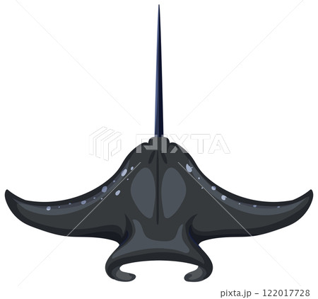 Top View of a Manta Ray 122017728
