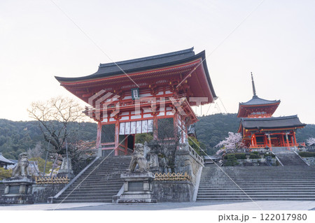 満開の桜と清水寺 仁王門付近 満開の桜と清水寺 仁王門付近 122017980