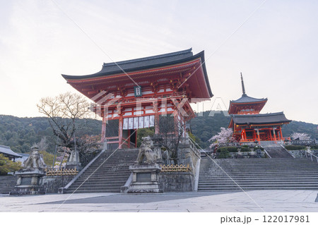 満開の桜と清水寺　仁王門付近 122017981