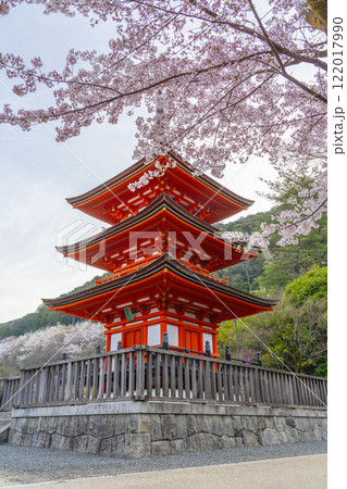 満開の桜と清水寺　子安塔 122017990