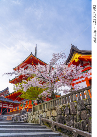 満開の桜と清水寺　三重塔付近 122017992
