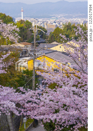 春の清水寺　参道から京都タワーを望む 122017994
