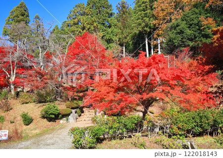 【滋賀県】晴天の石道寺の紅葉（鶏足寺） 122018143