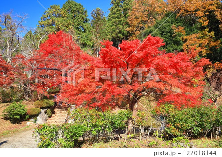 【滋賀県】晴天の石道寺の紅葉(鶏足寺) 【滋賀県】晴天の石道寺の紅葉(鶏足寺) 122018144