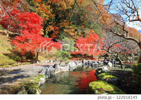 【滋賀県】晴天の石道寺の紅葉(鶏足寺) 【滋賀県】晴天の石道寺の紅葉(鶏足寺) 122018145