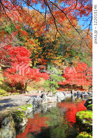 【滋賀県】晴天の石道寺の紅葉（鶏足寺） 122018146