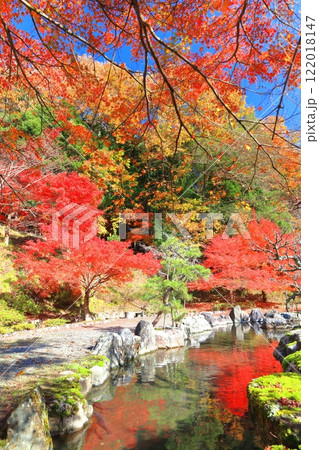 【滋賀県】晴天の石道寺の紅葉(鶏足寺) 【滋賀県】晴天の石道寺の紅葉(鶏足寺) 122018147