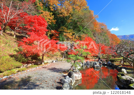 【滋賀県】晴天の石道寺の紅葉（鶏足寺） 122018148