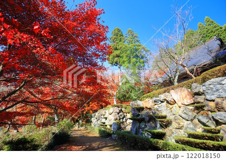 【滋賀県】晴天の石道寺の紅葉(鶏足寺) 【滋賀県】晴天の石道寺の紅葉(鶏足寺) 122018150