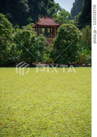 水草に覆われた寺院　ビックドン寺院　タムコック　ベトナム 122018556