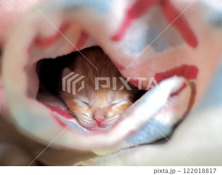 かわいい(・∀・)!!　　　　　　　　　　　　　　　　　　　　　　 122018817