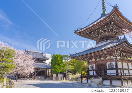 春の京都 本法寺 桜に包まれた開山堂・多宝堂 春の京都 本法寺 桜に包まれた開山堂・多宝堂 122018927