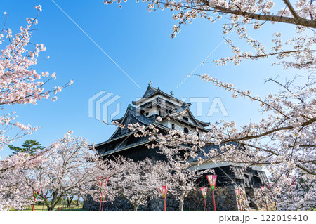島根県松江市　満開の桜と国宝松江城天守 122019410